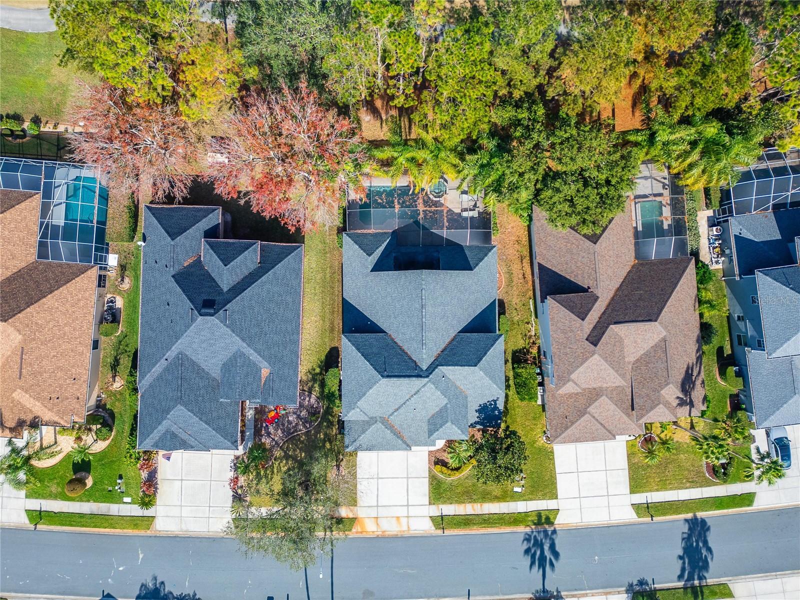 23509 VISTAMAR CT, LAND O LAKES, FL, 34639
