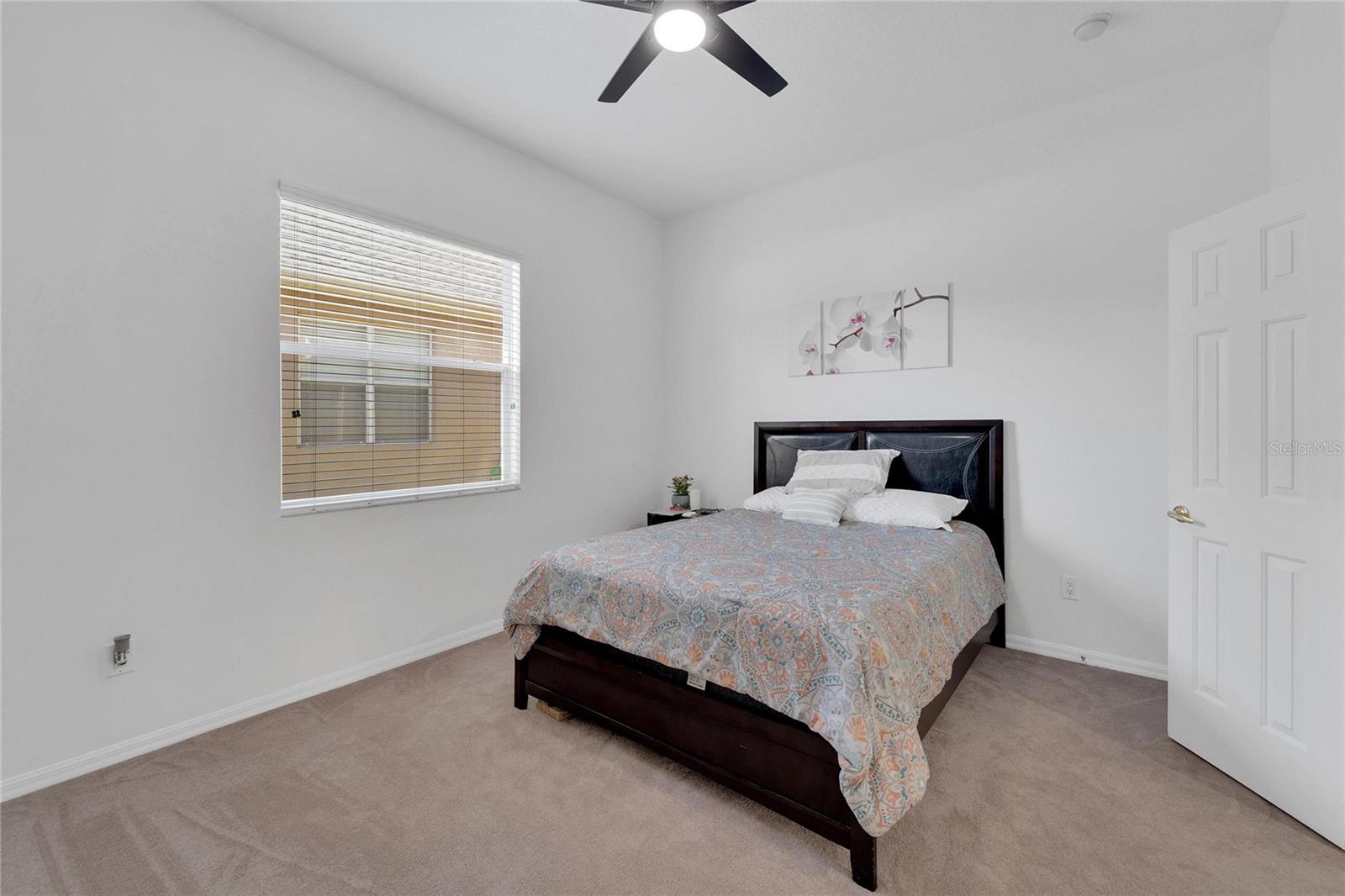 23509 VISTAMAR CT, LAND O LAKES, FL, 34639