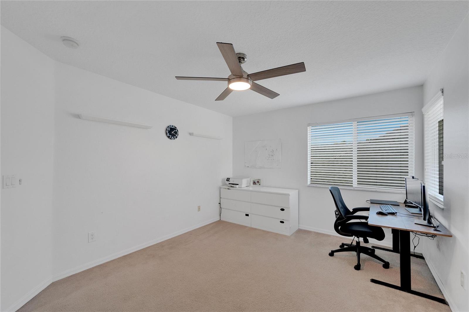 23509 VISTAMAR CT, LAND O LAKES, FL, 34639