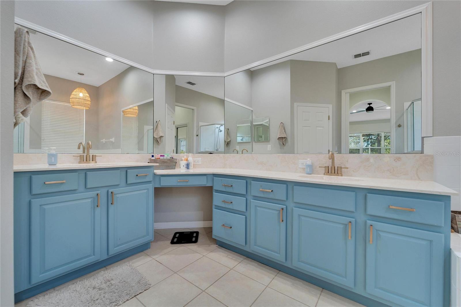 23509 VISTAMAR CT, LAND O LAKES, FL, 34639