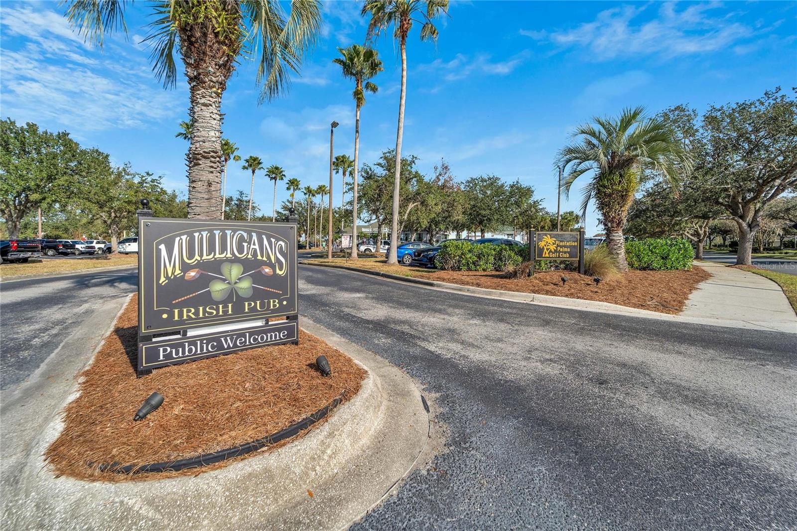 23509 VISTAMAR CT, LAND O LAKES, FL, 34639