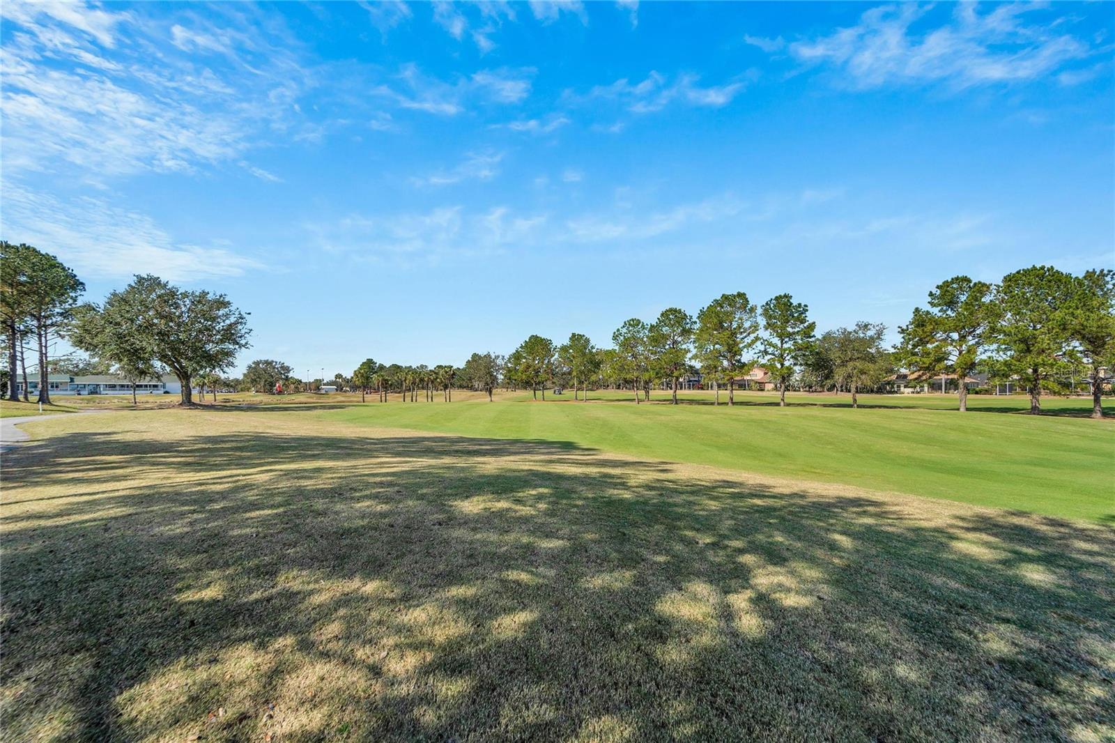 23509 VISTAMAR CT, LAND O LAKES, FL, 34639