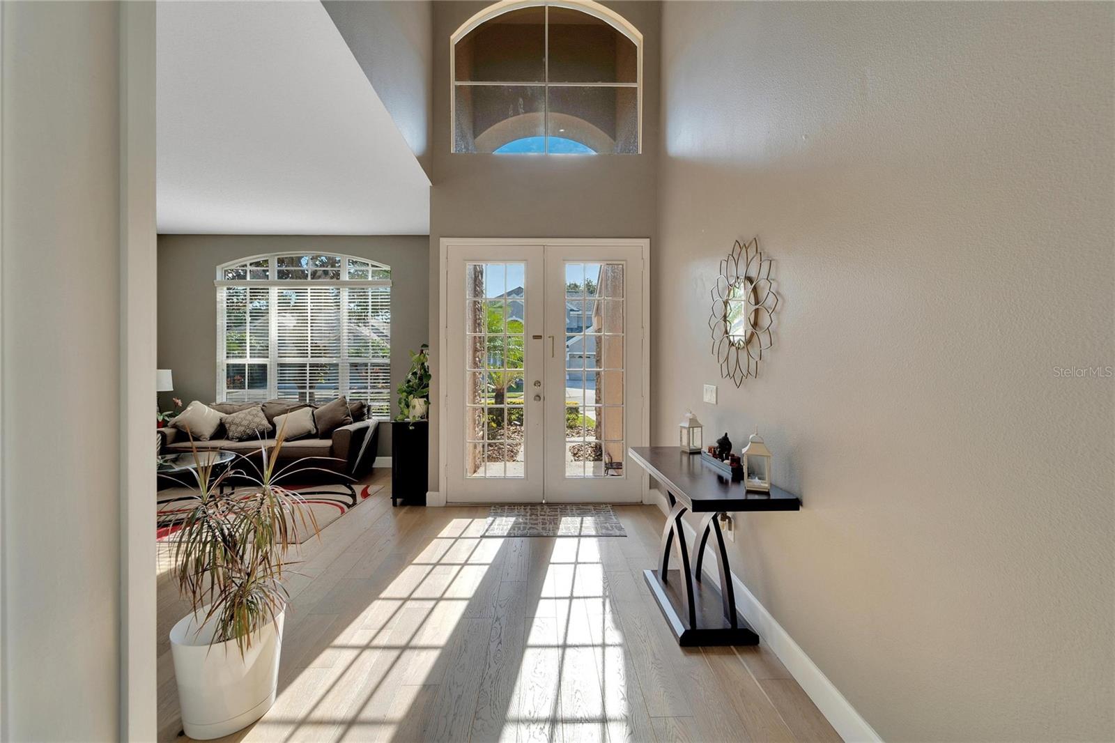 23509 VISTAMAR CT, LAND O LAKES, FL, 34639
