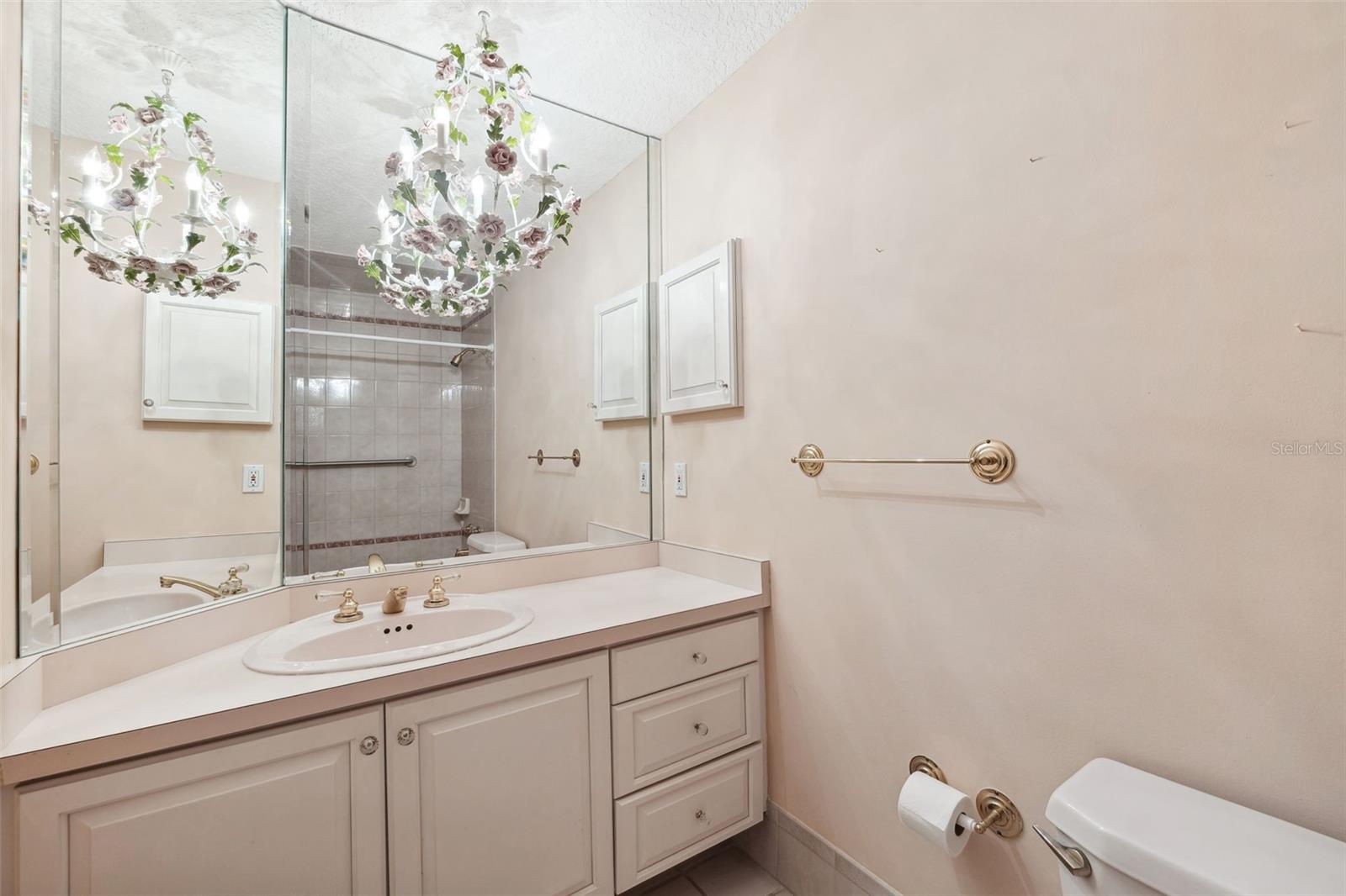 1388 BRIGHTWATERS BLVD NE, ST PETERSBURG, FL, 33704