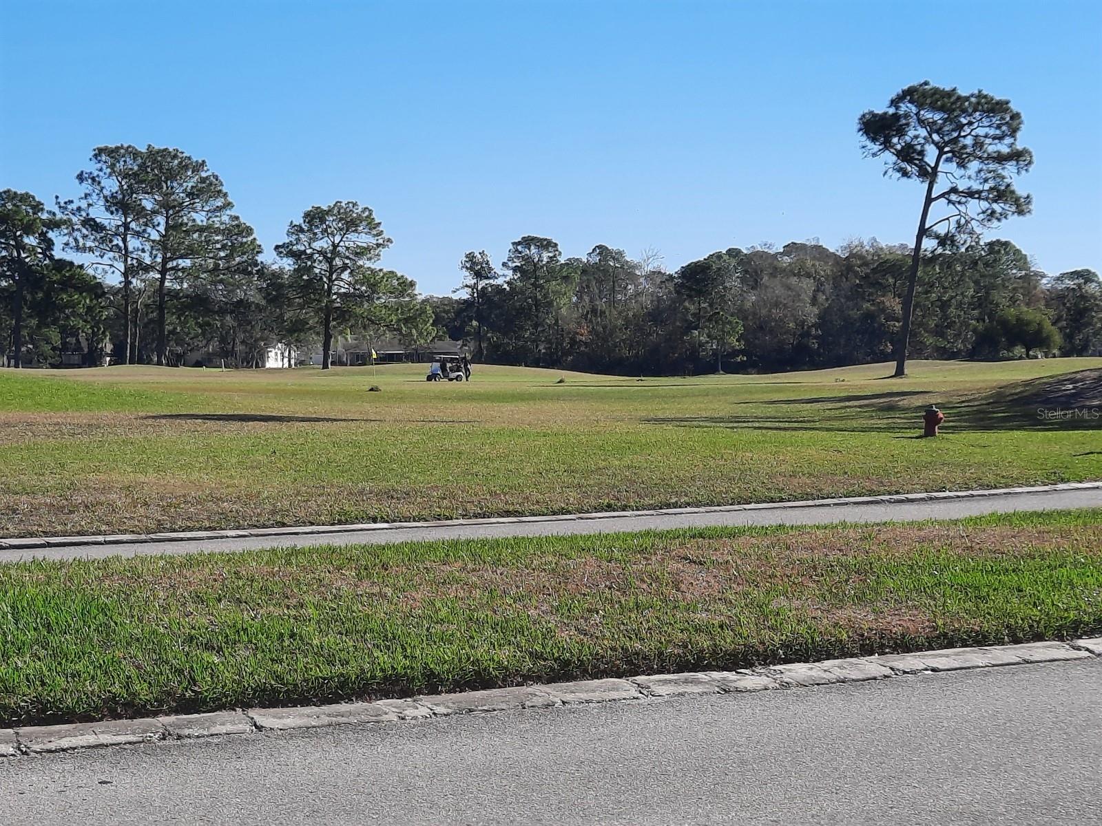 11732 CARISSA LN #B, NEW PORT RICHEY, FL, 34654