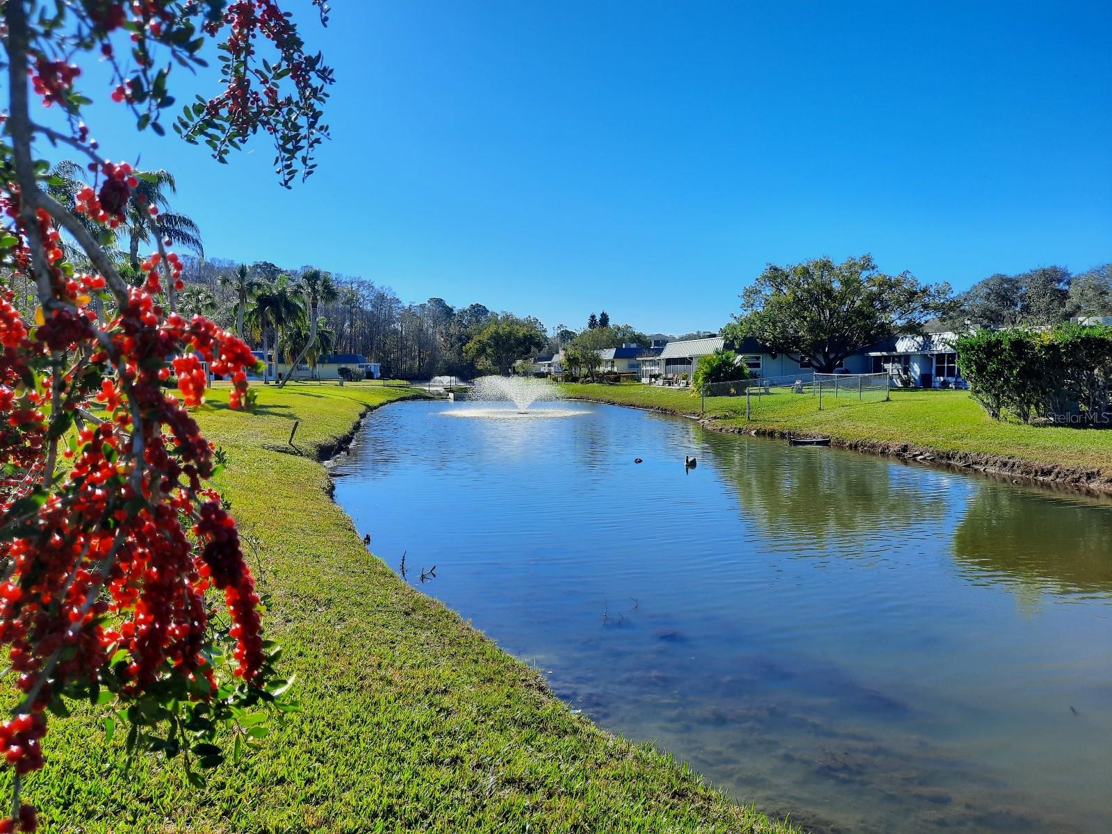 11732 CARISSA LN #B, NEW PORT RICHEY, FL, 34654