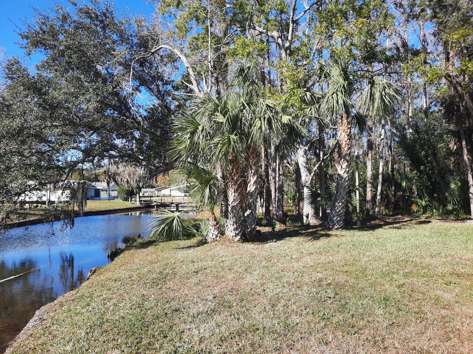 11732 CARISSA LN #B, NEW PORT RICHEY, FL, 34654