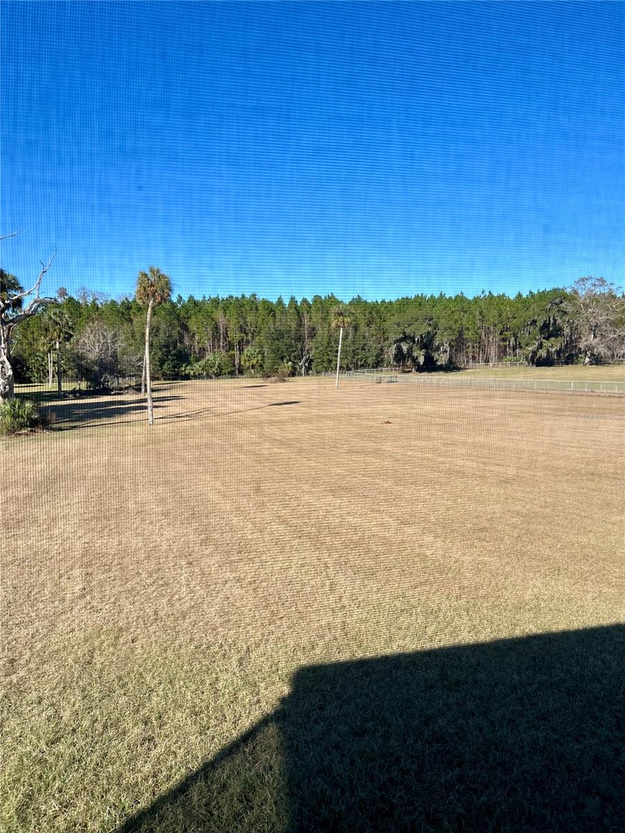 7516 SE COUNTY ROAD 346, MICANOPY, FL, 32667