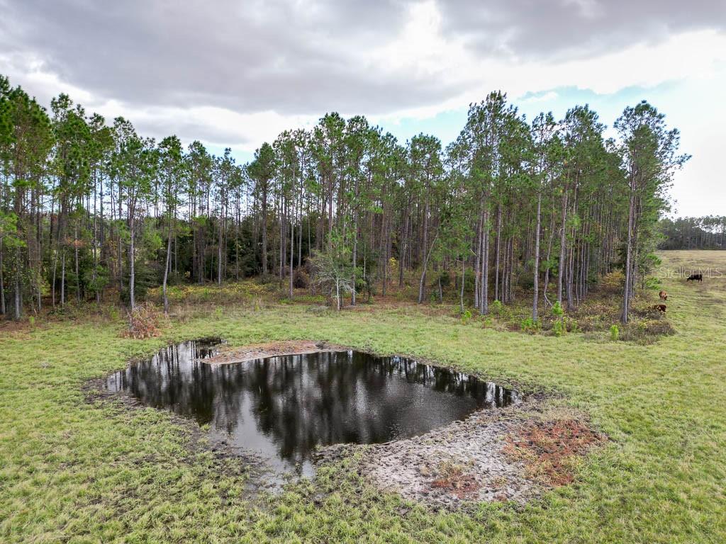 993 CR 722, WEBSTER, FL, 33597