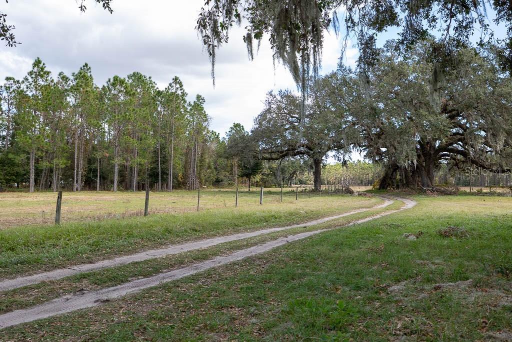 993 CR 722, WEBSTER, FL, 33597
