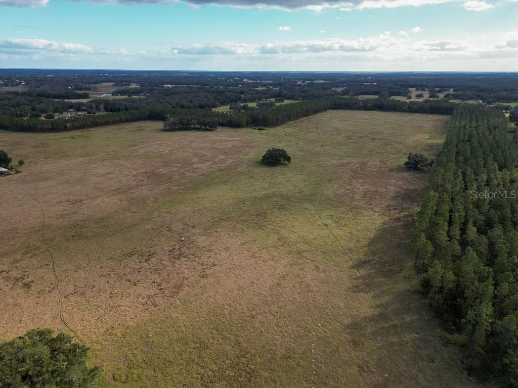 993 CR 722, WEBSTER, FL, 33597