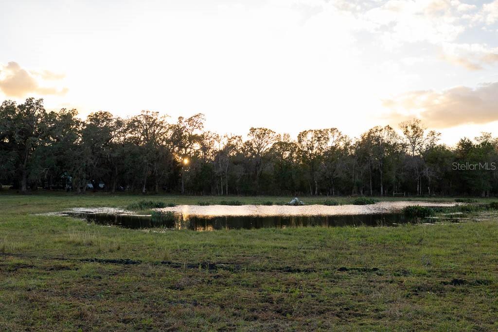 993 CR 722, WEBSTER, FL, 33597