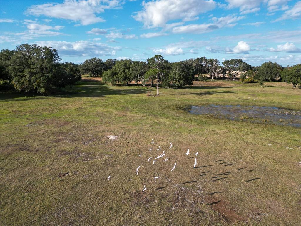 993 CR 722, WEBSTER, FL, 33597