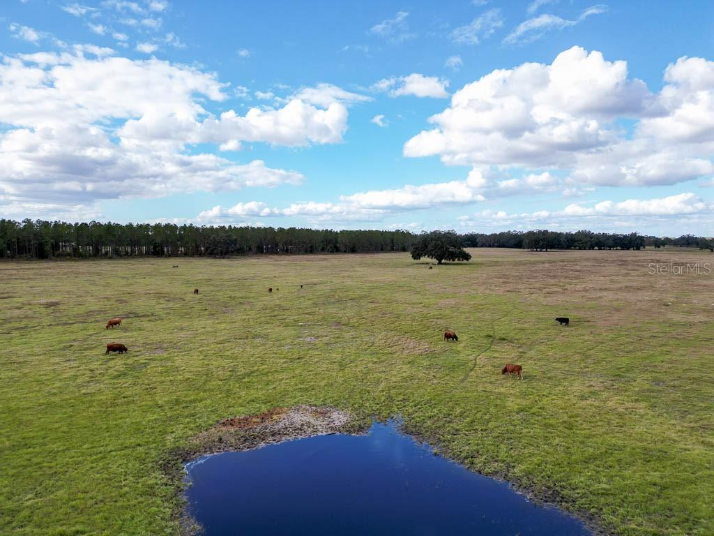 993 CR 722, WEBSTER, FL, 33597