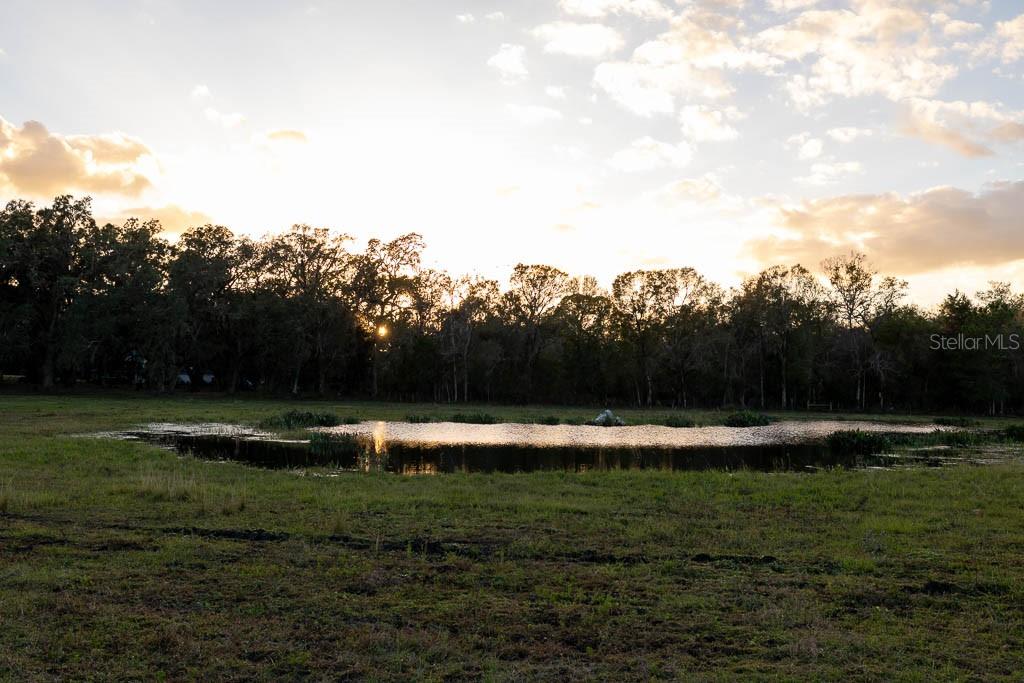 993 CR 722, WEBSTER, FL, 33597