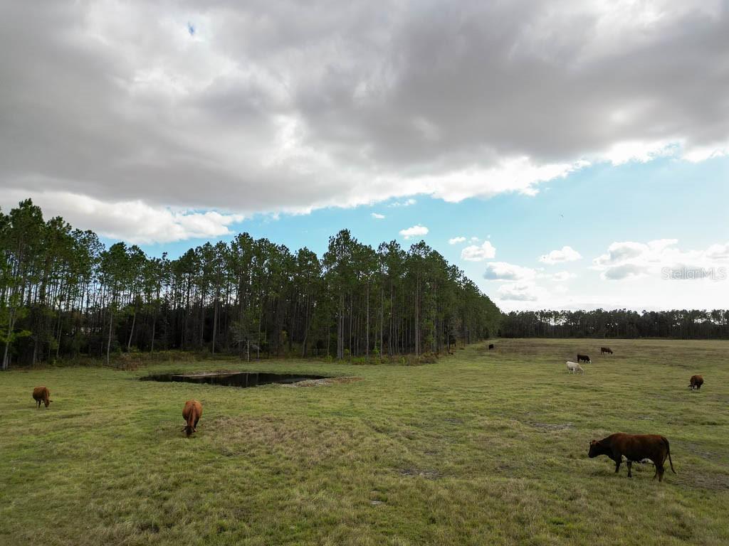 993 CR 722, WEBSTER, FL, 33597