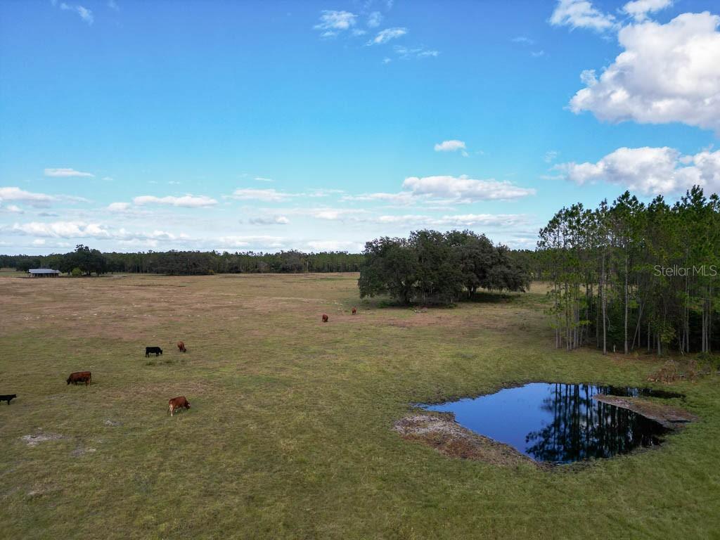 993 CR 722, WEBSTER, FL, 33597
