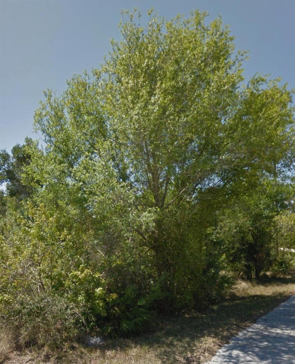 23509 BRANCH AVE, PUNTA GORDA, FL, 33980