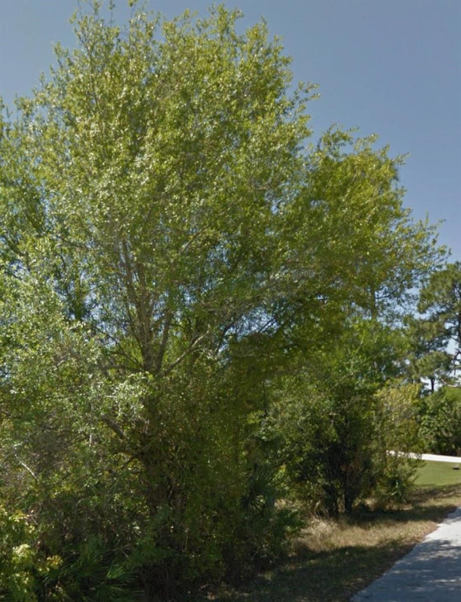 23509 BRANCH AVE, PUNTA GORDA, FL, 33980