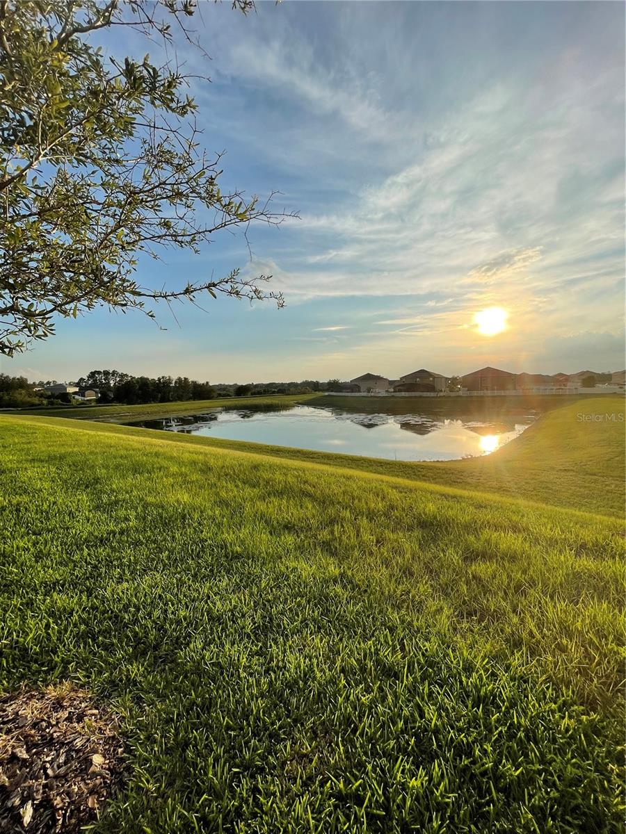 3812 FESCUE ST, CLERMONT, FL, 34714