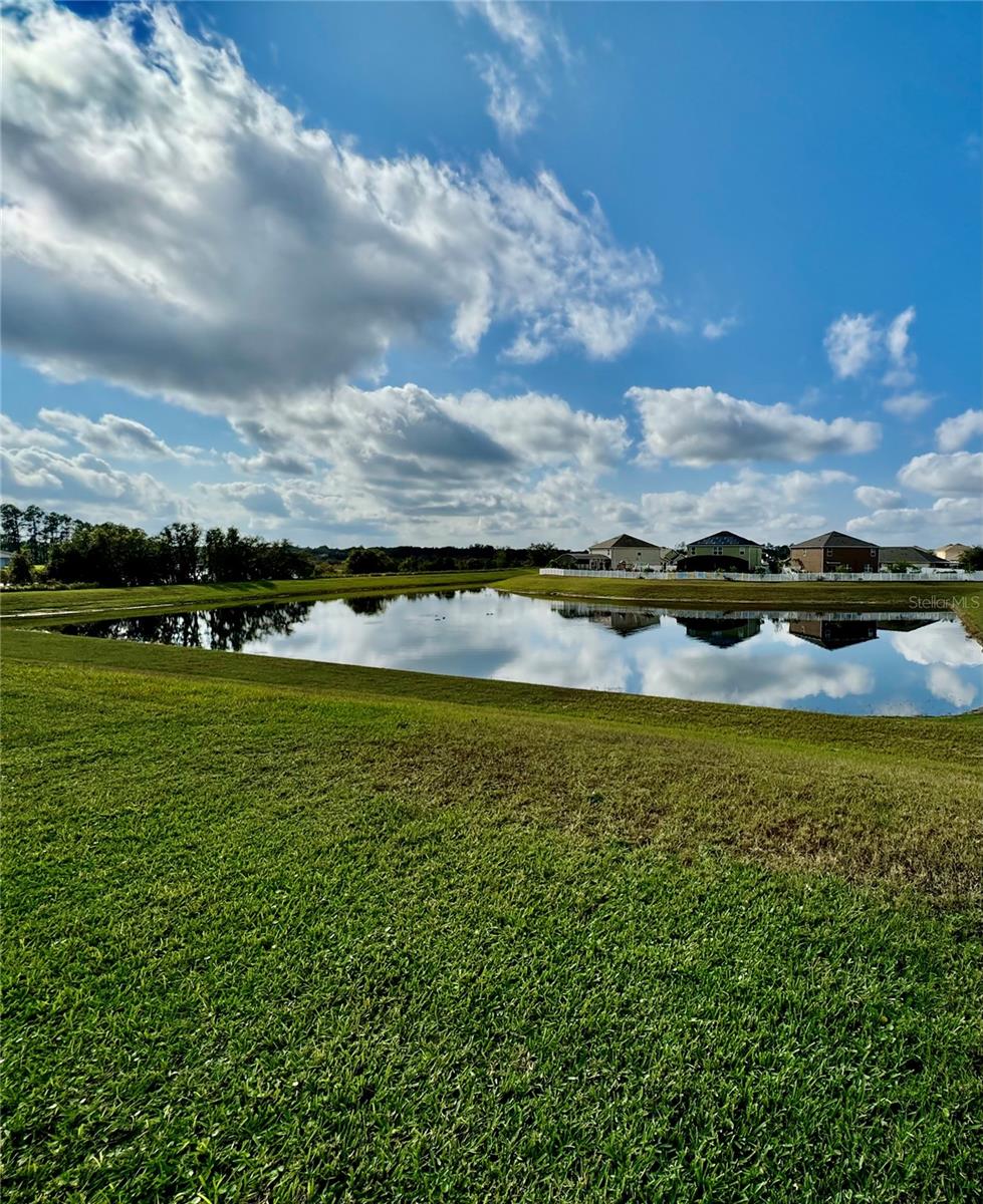 3812 FESCUE ST, CLERMONT, FL, 34714