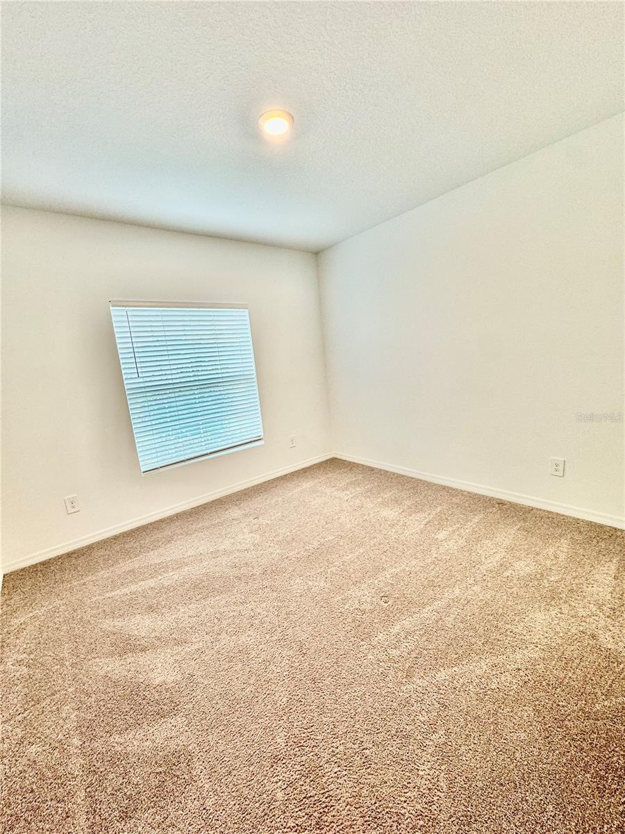 3812 FESCUE ST, CLERMONT, FL, 34714