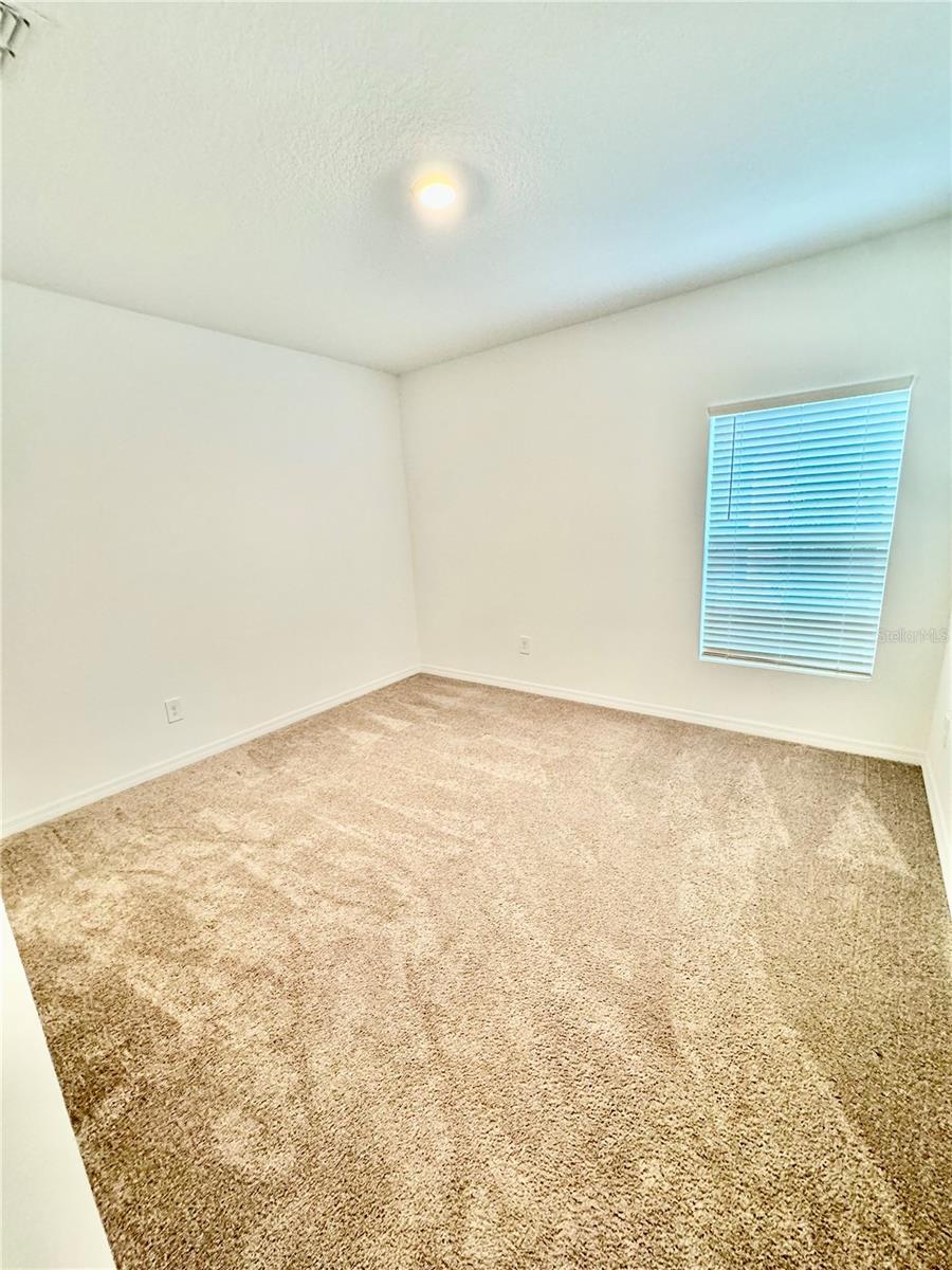 3812 FESCUE ST, CLERMONT, FL, 34714
