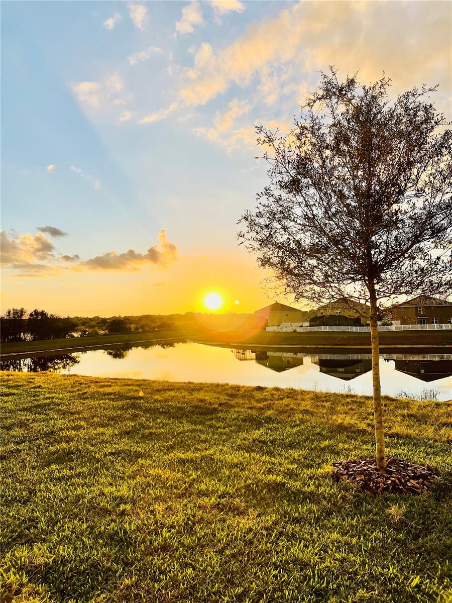 3812 FESCUE ST, CLERMONT, FL, 34714