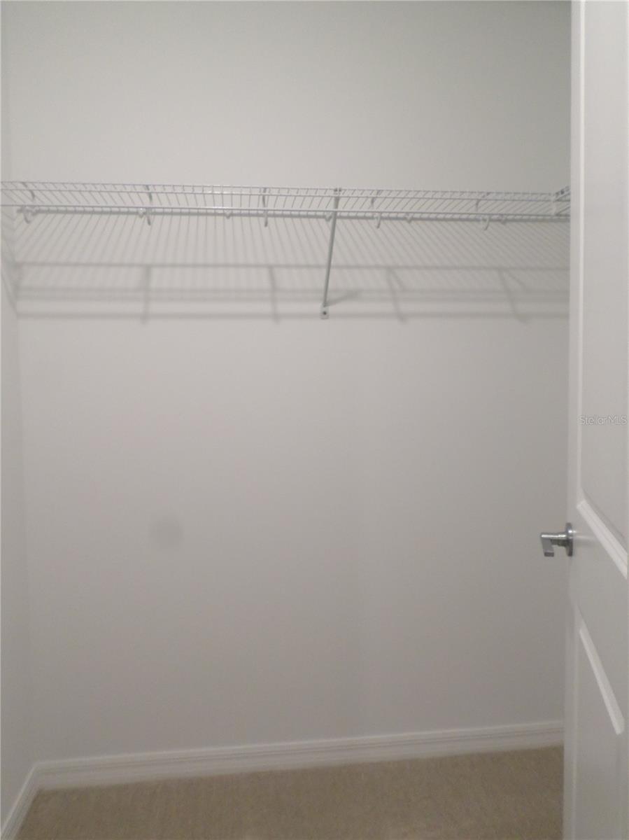 2188 HALLIER CV, WESLEY CHAPEL, FL, 33543