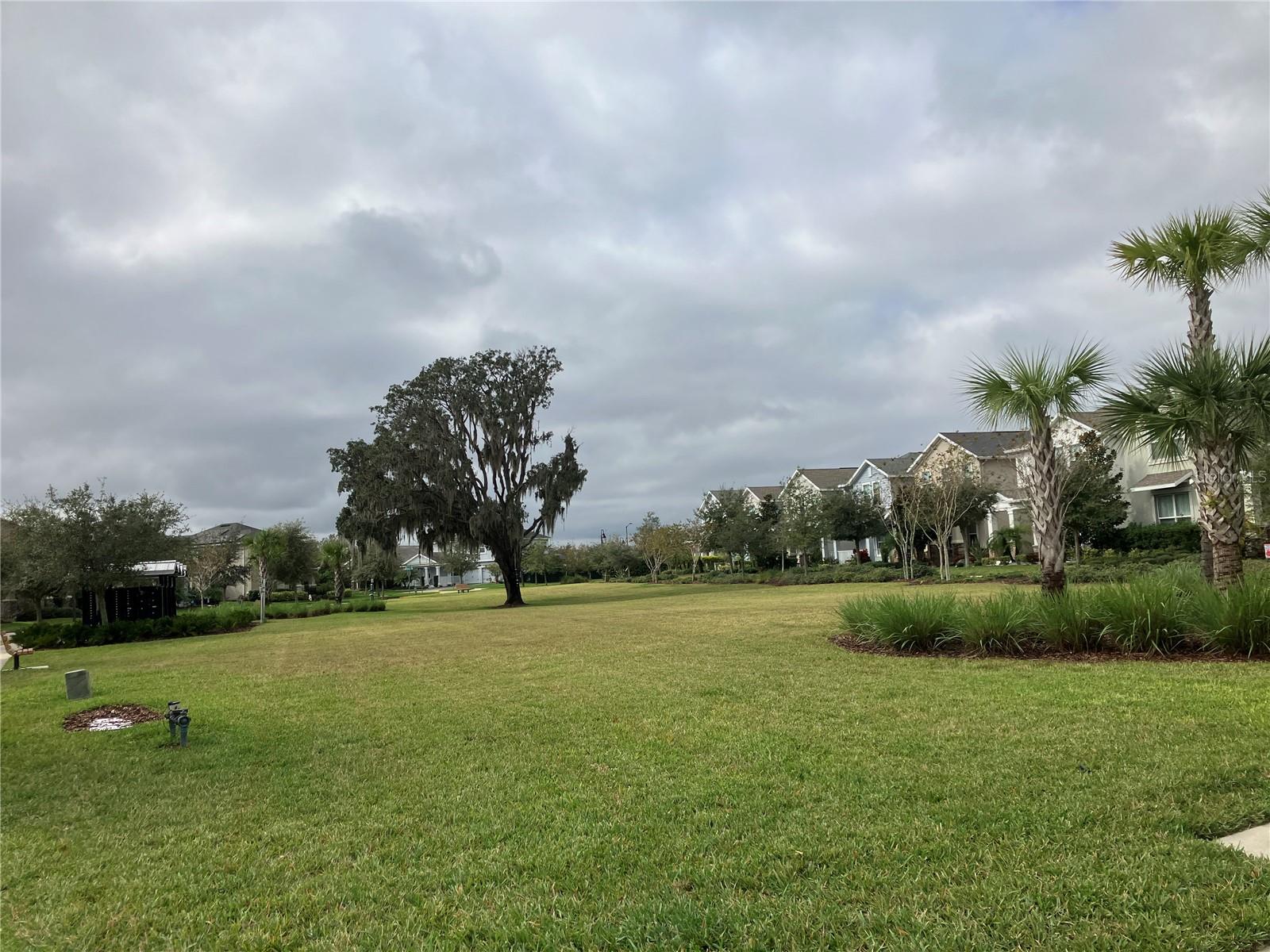 12128 ILLUSTRATION DR, ORLANDO, FL, 32832