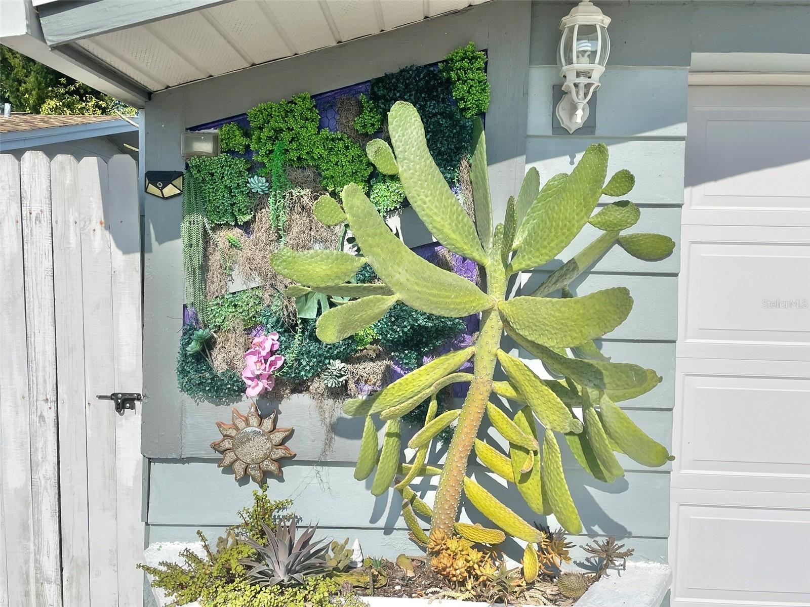 7321 ROBSTOWN DR, PORT RICHEY, FL, 34668