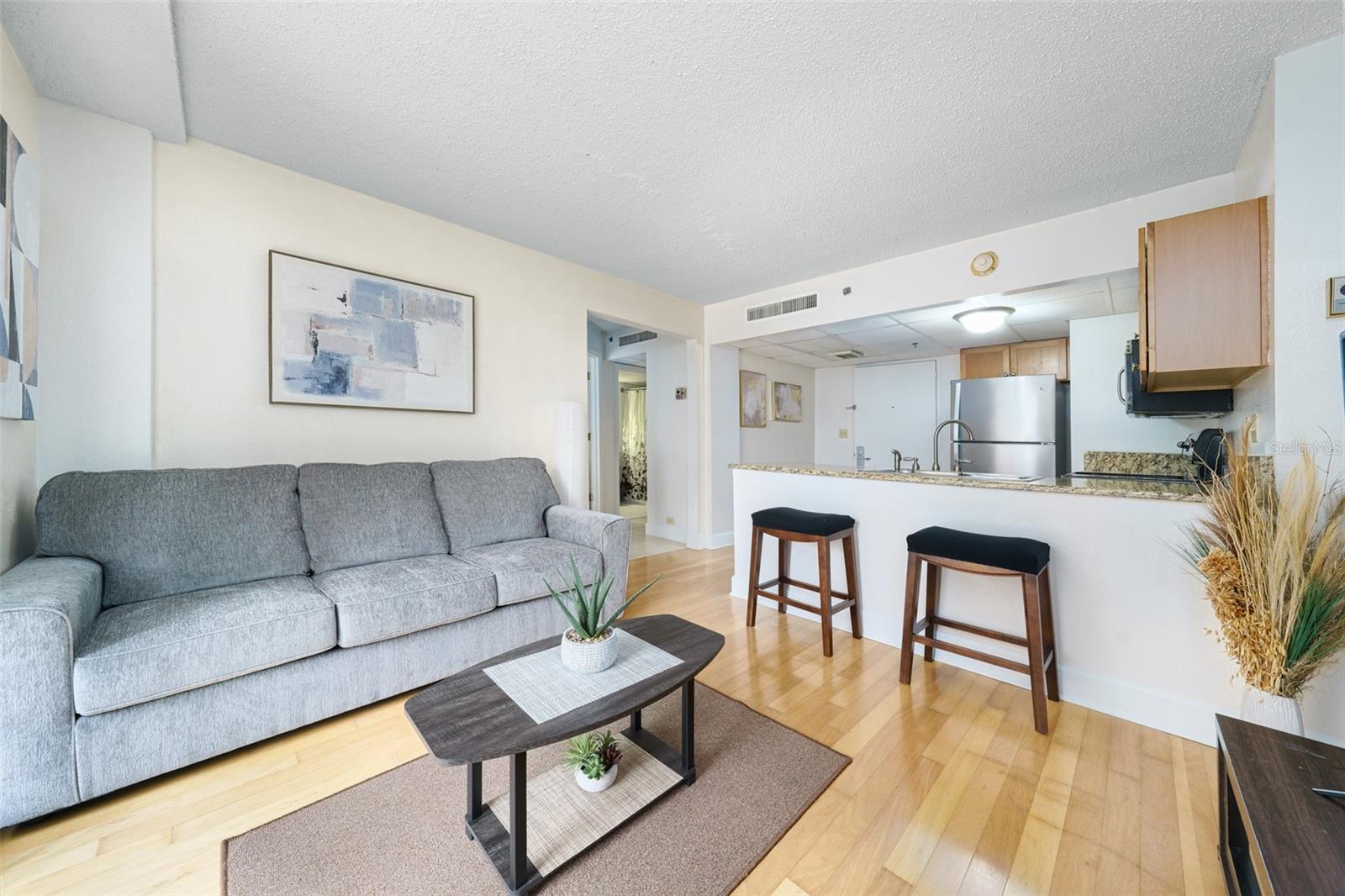 151 E WASHINGTON ST #424, ORLANDO, FL, 32801