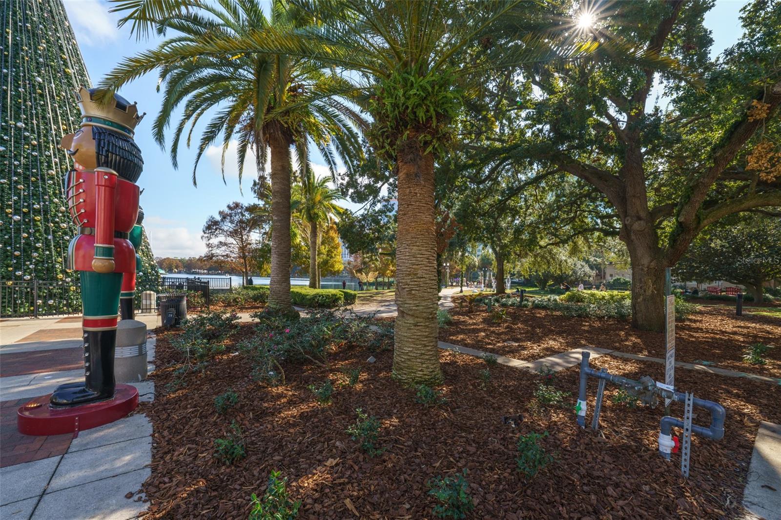 151 E WASHINGTON ST #424, ORLANDO, FL, 32801