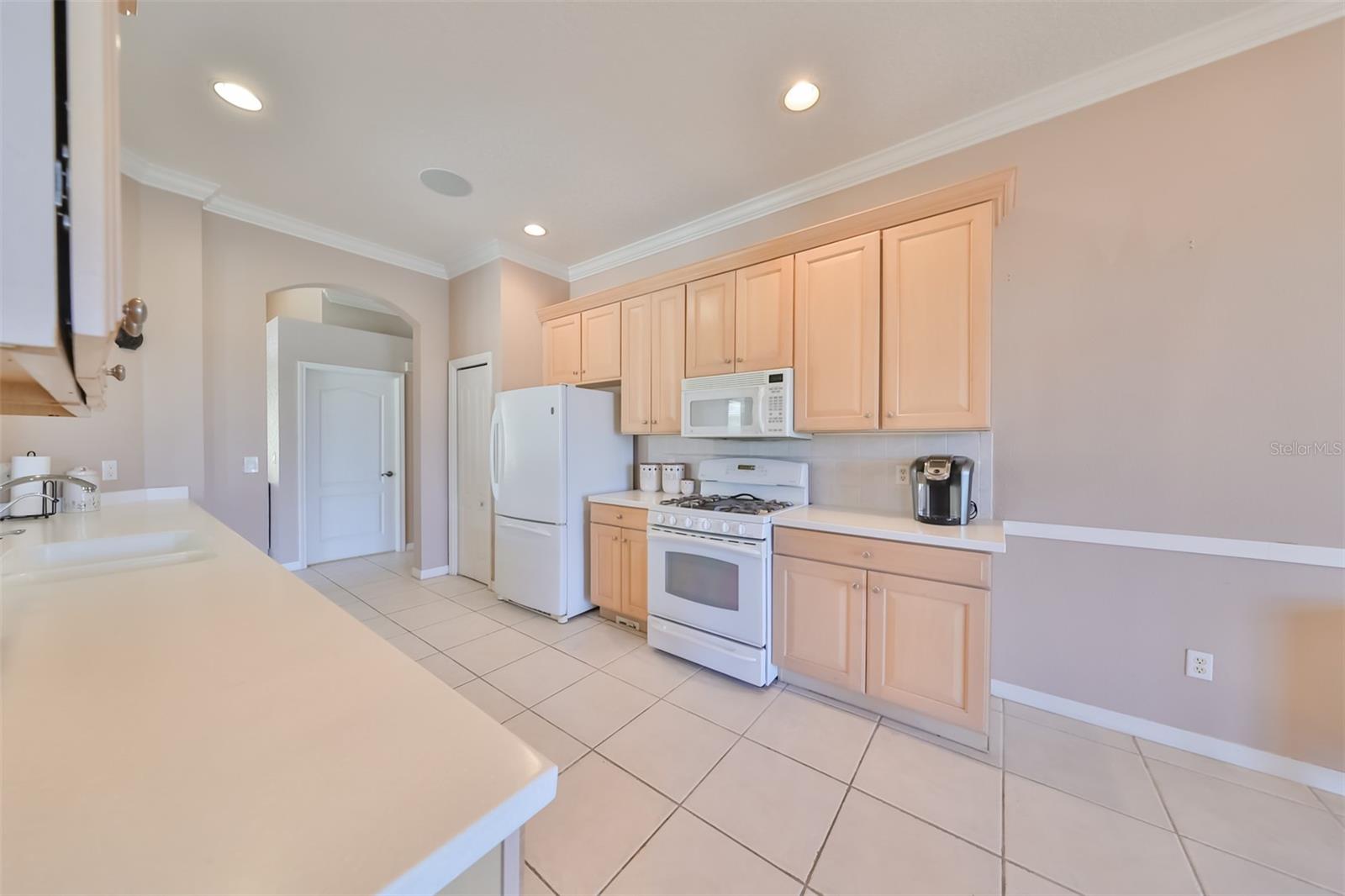 1007 EMERALD DUNES DR, SUN CITY CENTER, FL, 33573