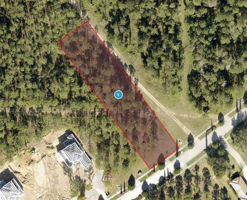 16052 PENDIO DR, BELLA COLLINA, FL, 34756