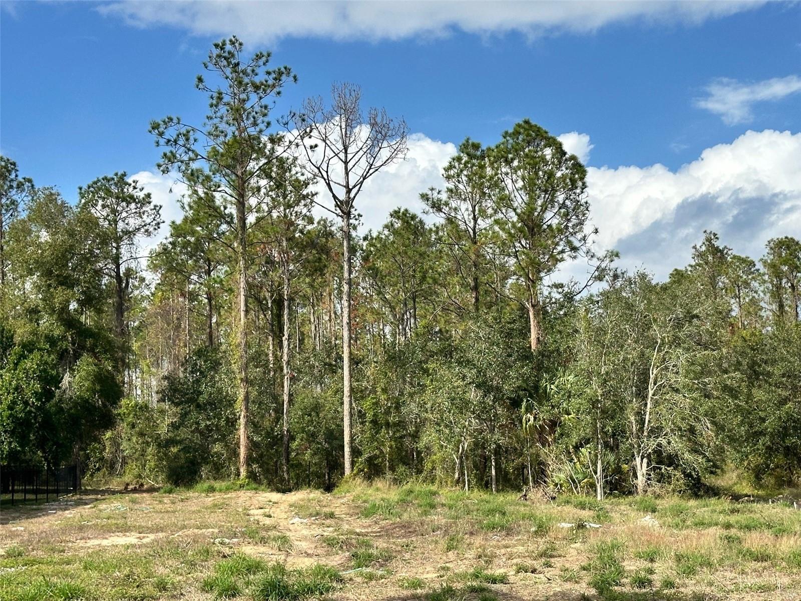 16052 PENDIO DR, BELLA COLLINA, FL, 34756
