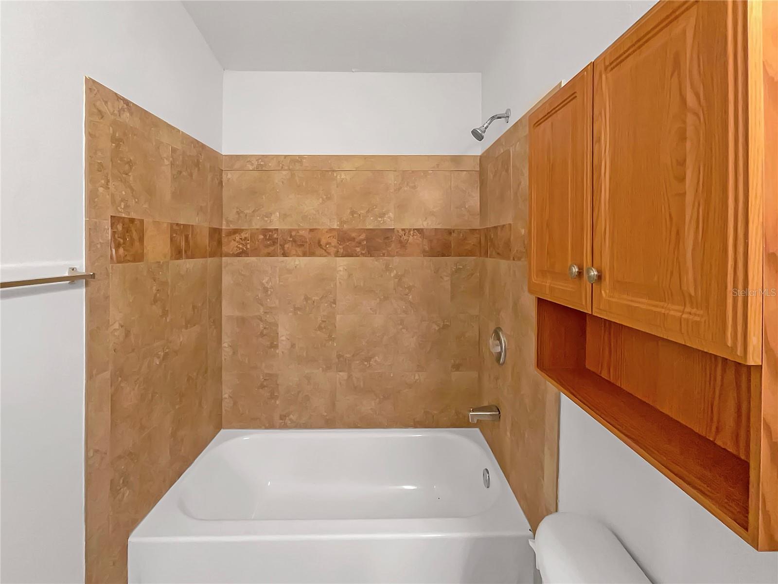 438 MAPLE POINTE DR, SEFFNER, FL, 33584