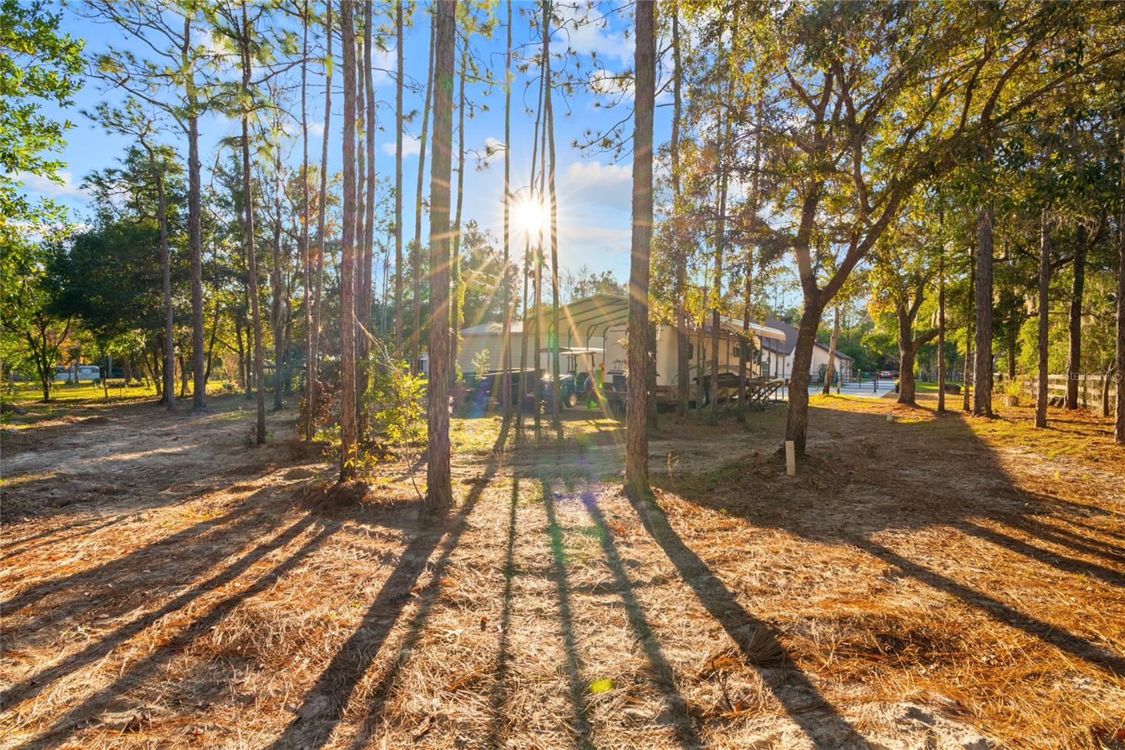 1231 N PROSPECT AVE, LECANTO, FL, 34461