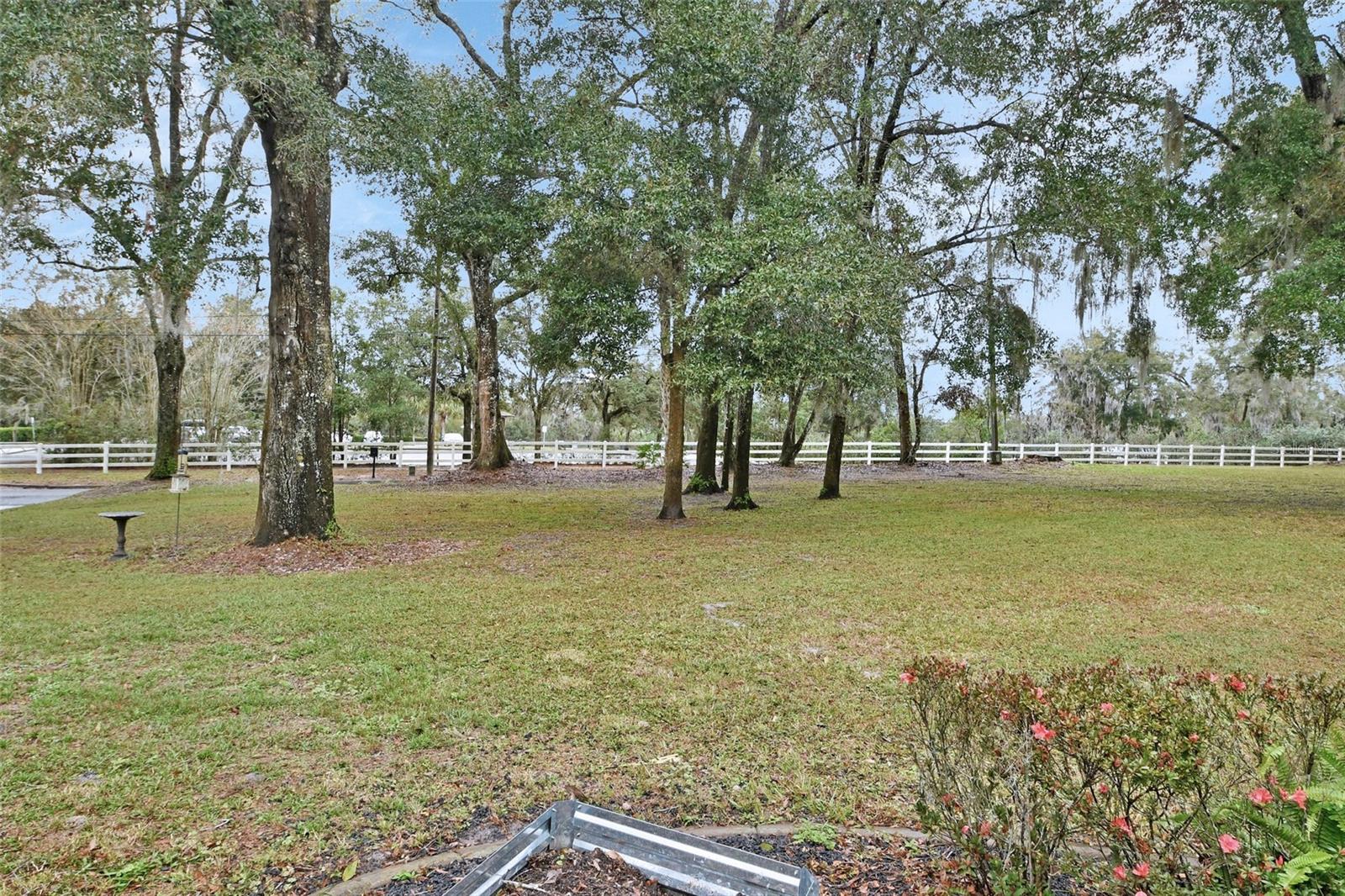 955 N RIDGEWOOD AVE, DELAND, FL, 32720