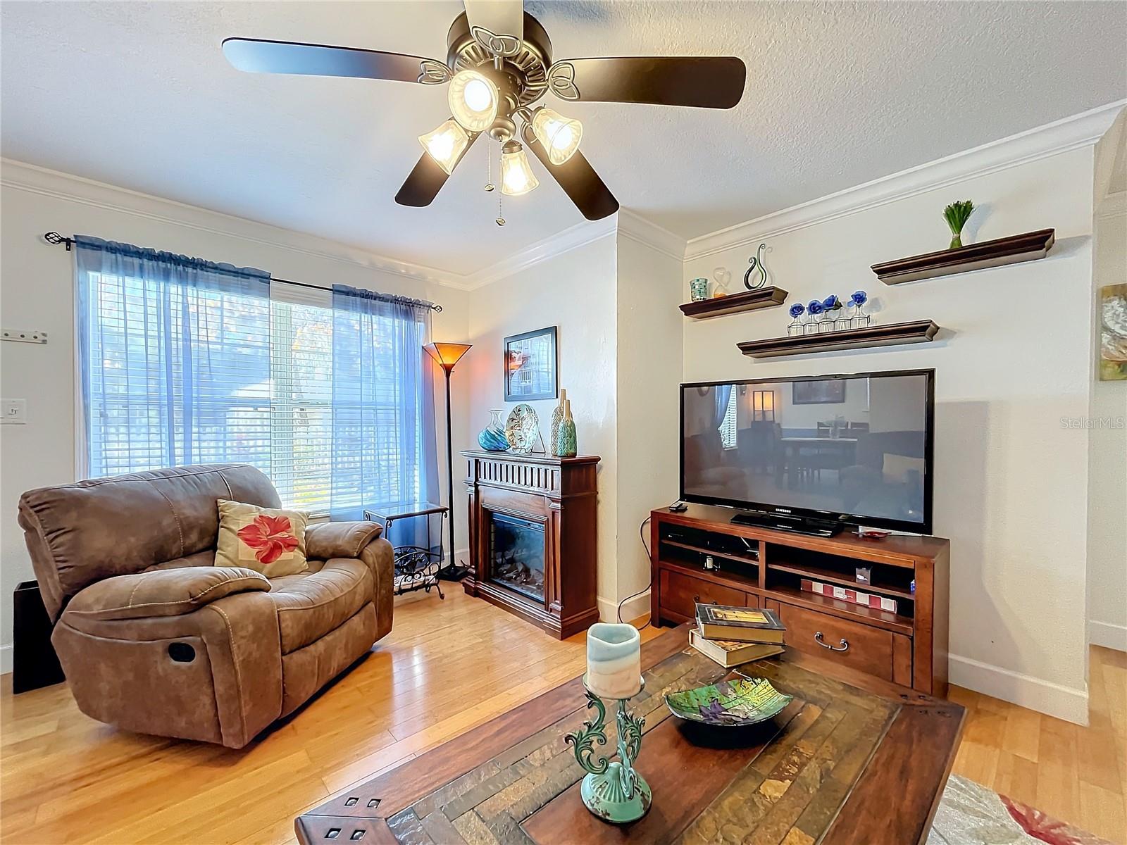 1100 N GRANDVIEW ST, MOUNT DORA, FL, 32757