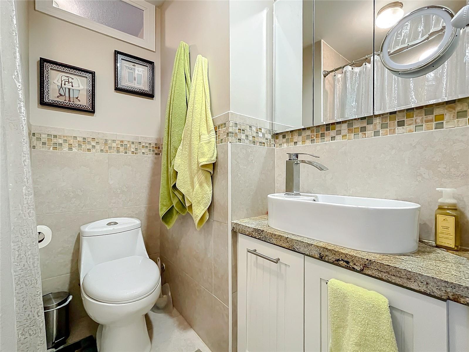 1100 N GRANDVIEW ST, MOUNT DORA, FL, 32757