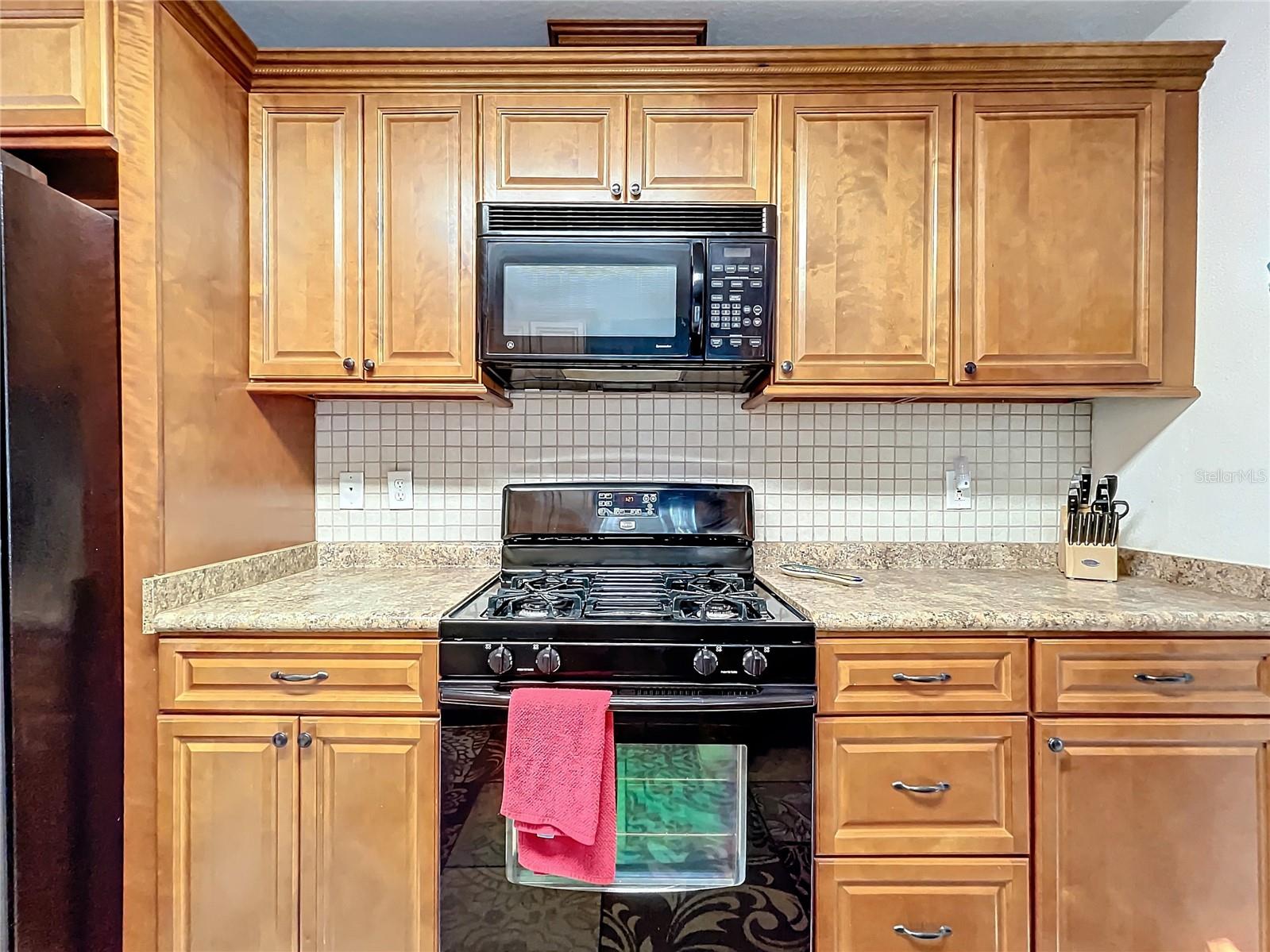 1100 N GRANDVIEW ST, MOUNT DORA, FL, 32757