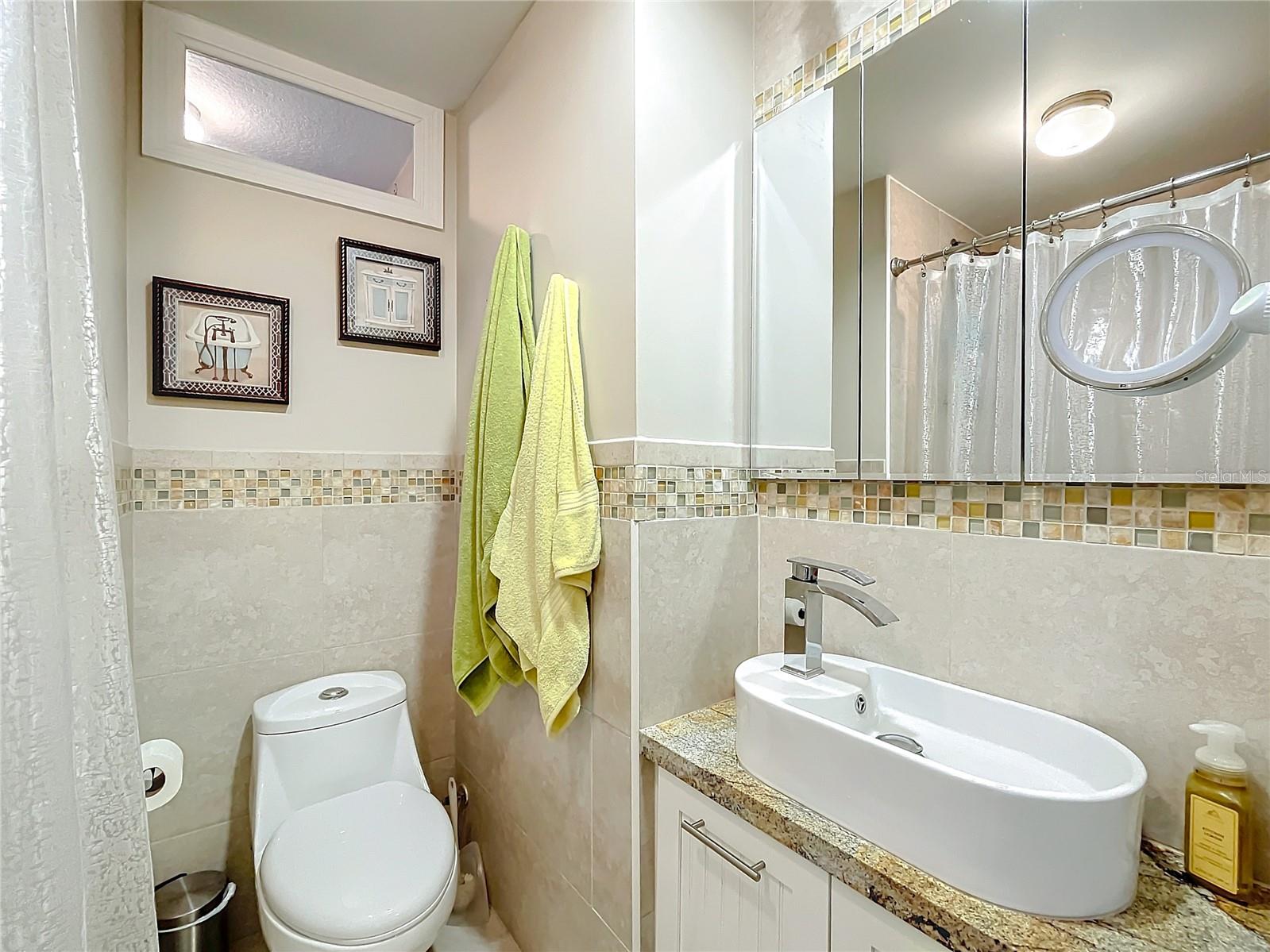 1100 N GRANDVIEW ST, MOUNT DORA, FL, 32757