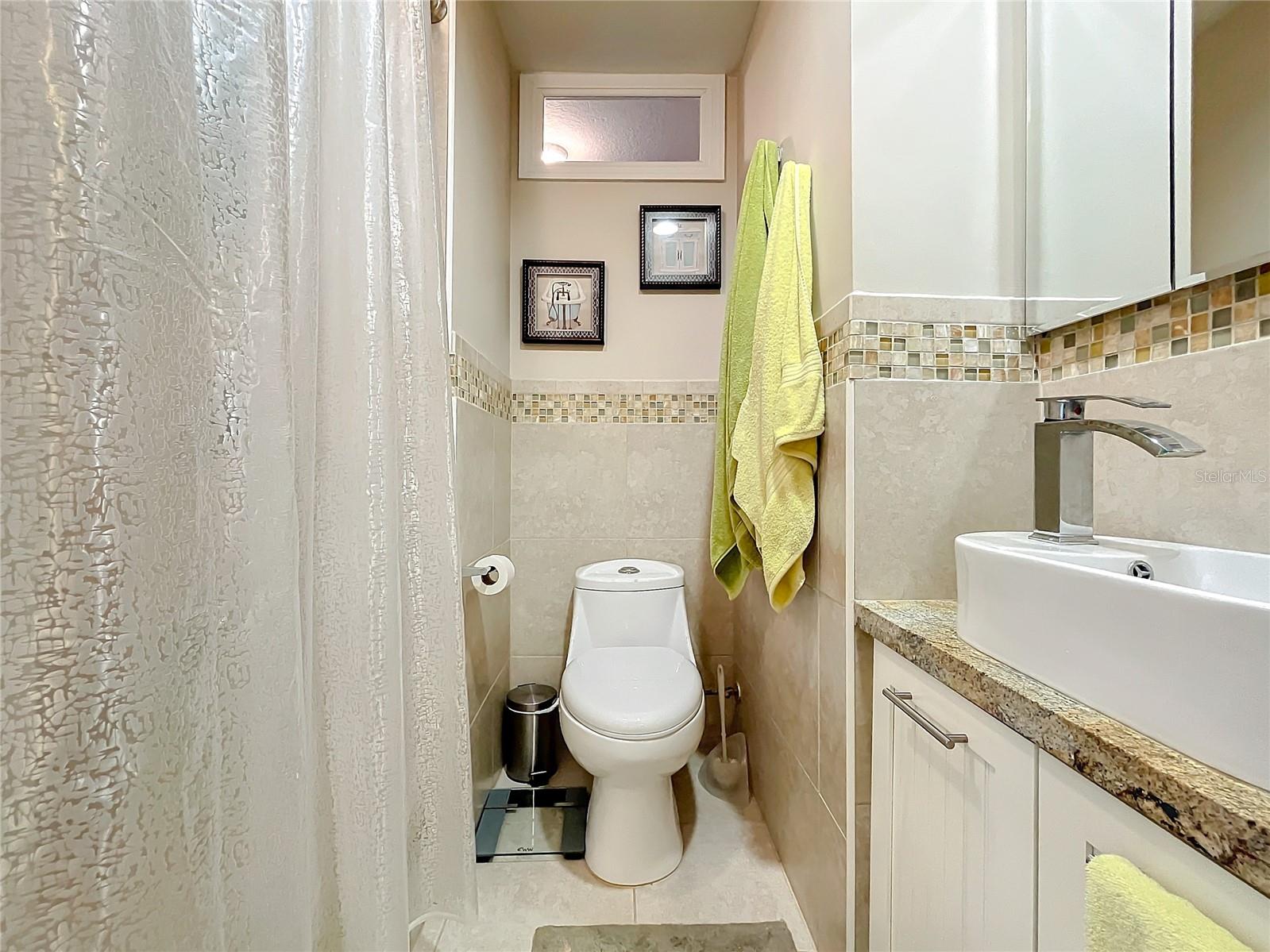 1100 N GRANDVIEW ST, MOUNT DORA, FL, 32757