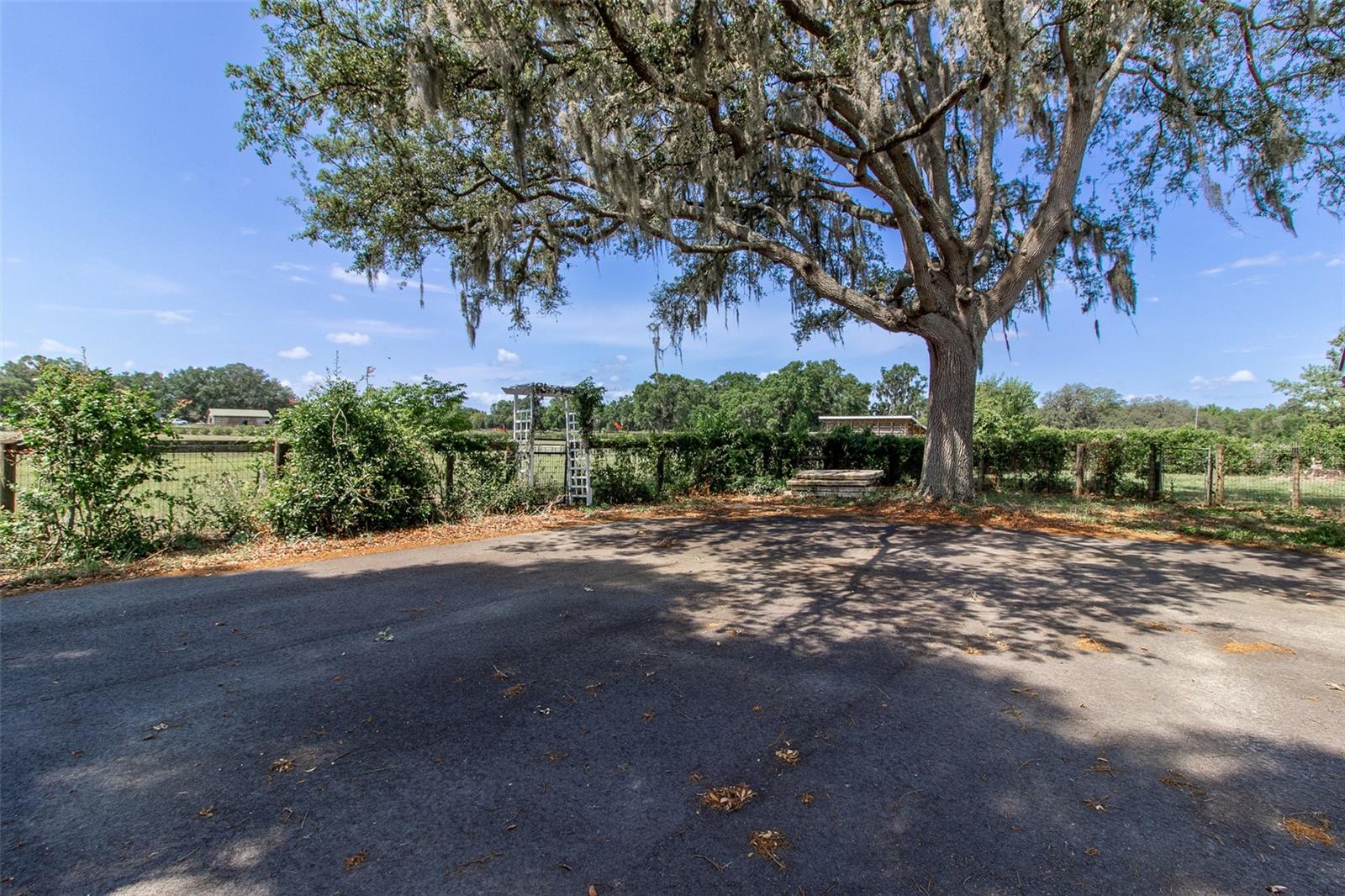 6980 SW 72ND CT, OCALA, FL, 34476