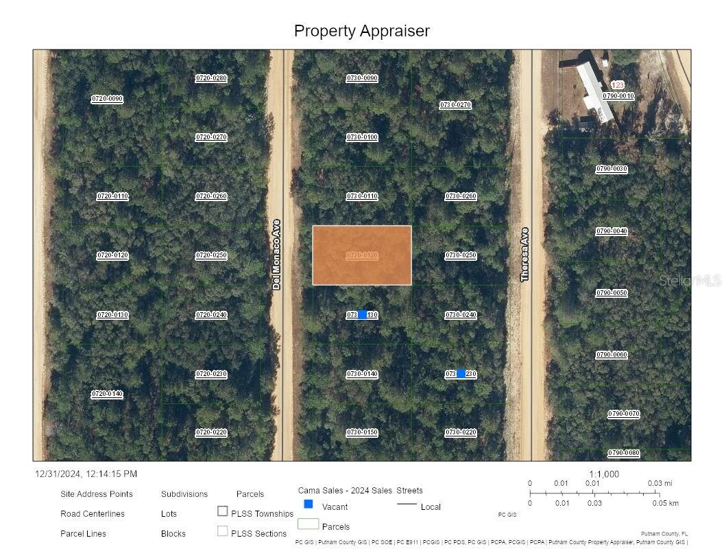 0 DEL MONACO AVE, INTERLACHEN, FL, 32148