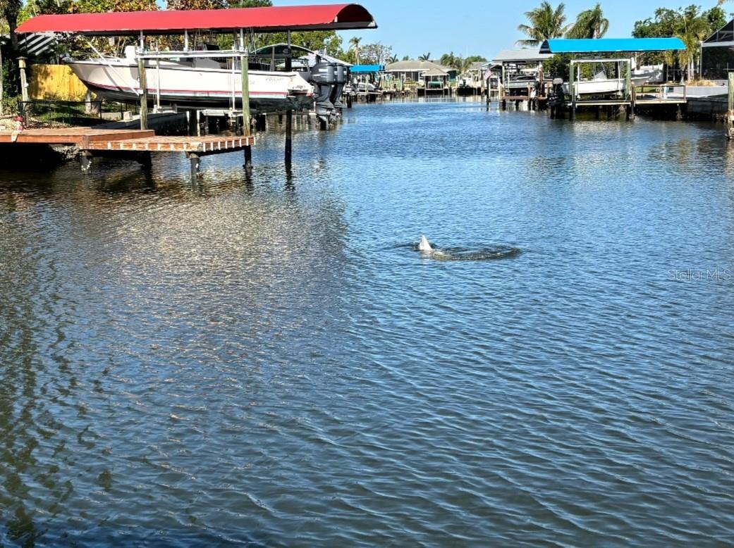 6526 BIMINI CT, APOLLO BEACH, FL, 33572