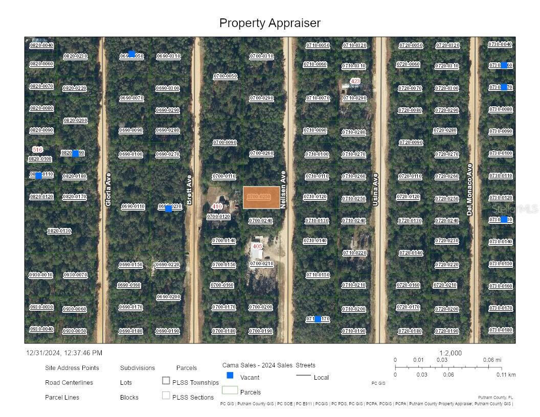 NEILSEN AVE, INTERLACHEN, FL, 32148