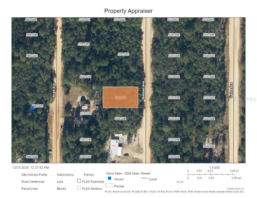 NEILSEN AVE, INTERLACHEN, FL, 32148