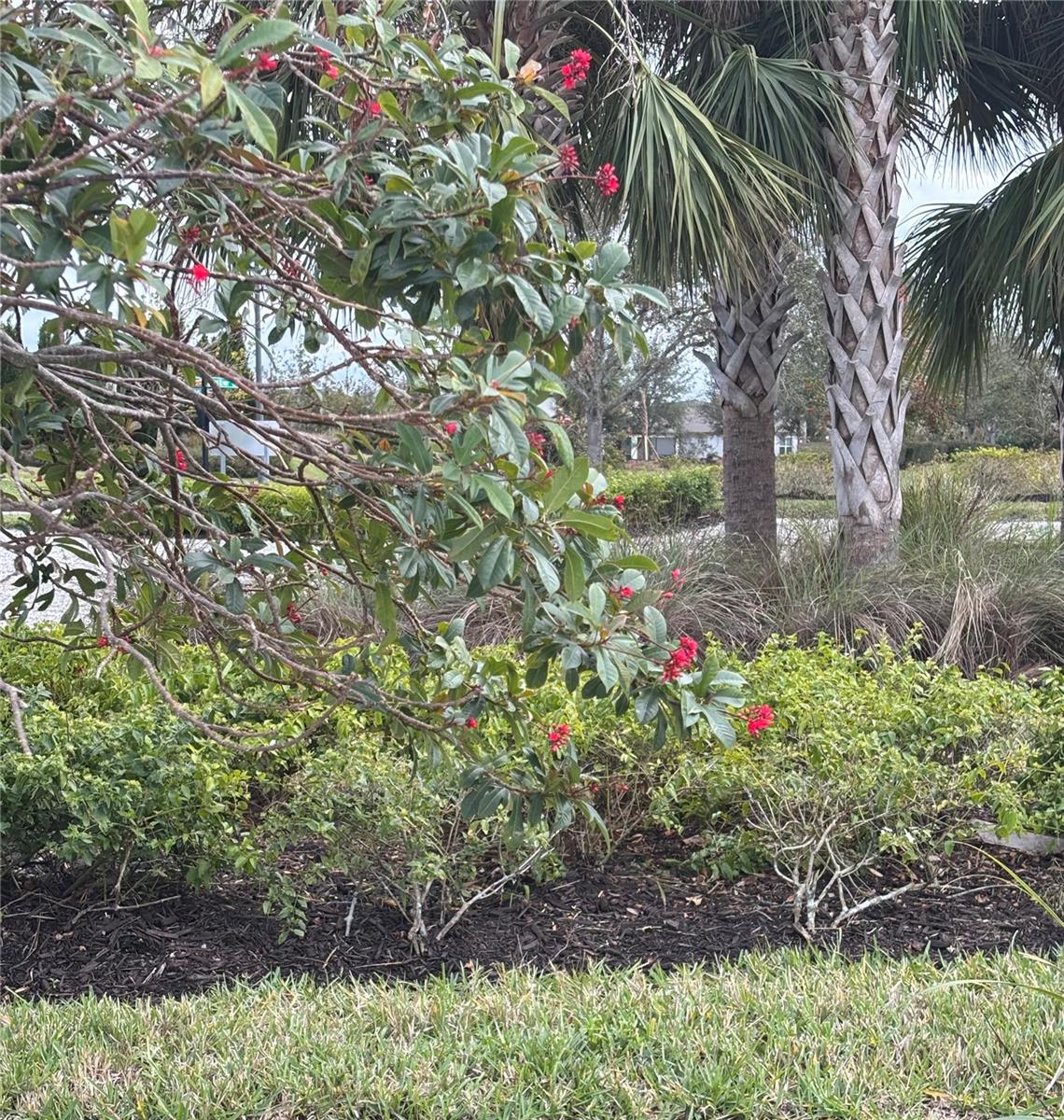 11608 LITTLE RIVER WAY, PARRISH, FL, 34219